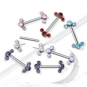 Cluster