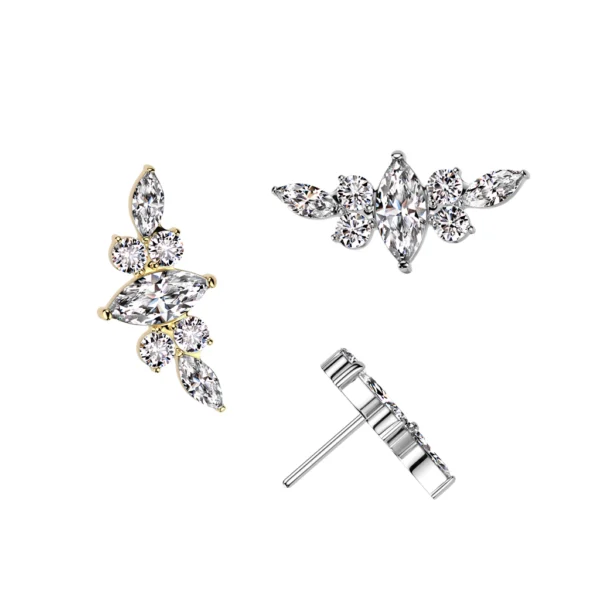 Marquise CZ Center