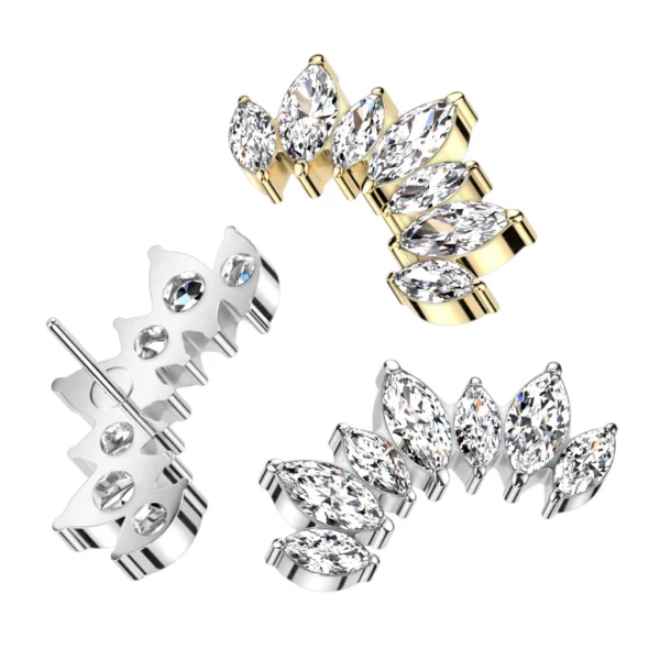 Marquise Curve