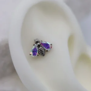 Bee - Aurora Borealis