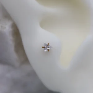 Triangle CZ - Gull