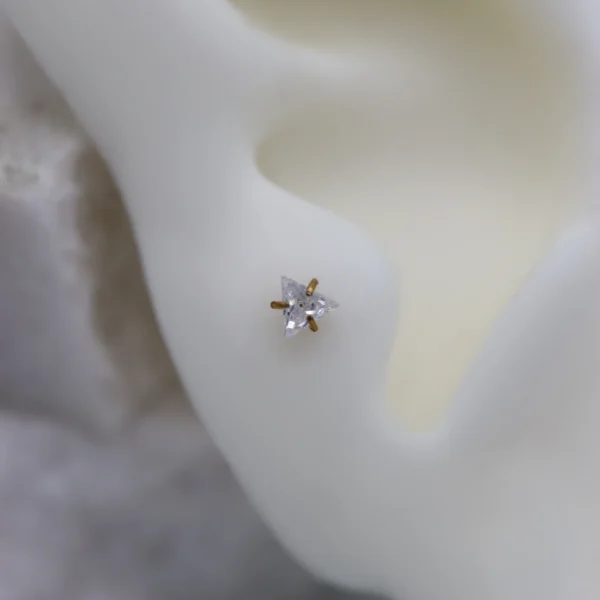 Triangle CZ - Gull