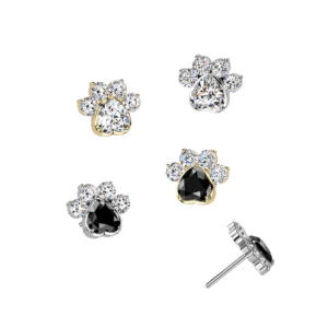 CZ Paw