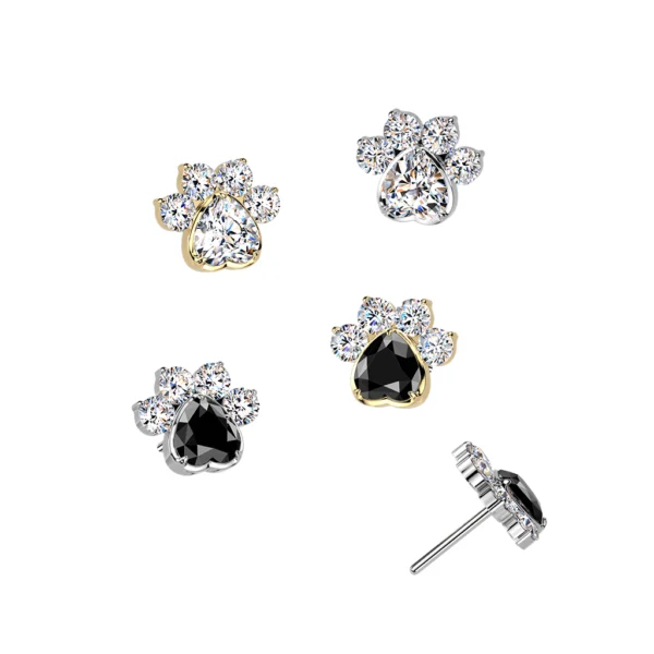 CZ Paw