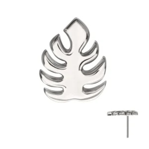 Monstera