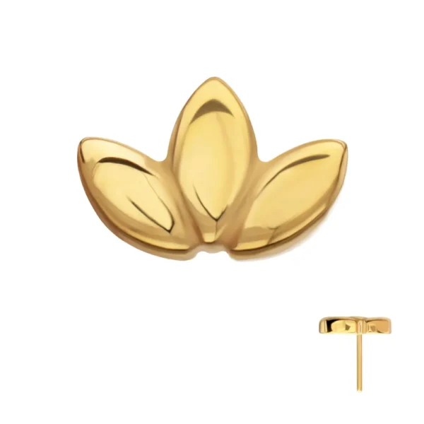 Fan Shaped Petals